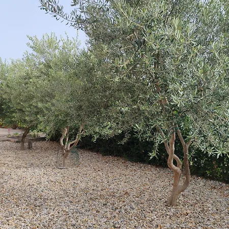 Nicol Διαμέρισμα Crikvenica