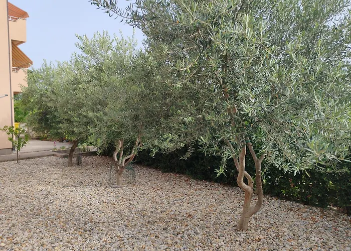 Nicol Διαμέρισμα Crikvenica